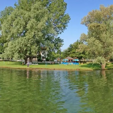Alice 110s Holiday home